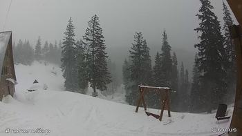 Драгобрат 10 березня 2019 року, 2019-03-10 16:00