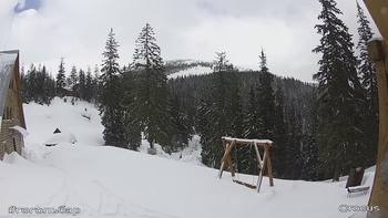 Драгобрат 11 березня 2019 року, 2019-03-11 10:00