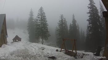Драгобрат 10 квітня 2019 року, 2019-04-10 13:00