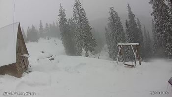 Драгобрат 2 березня 2020 року, 2020-03-02 10:00