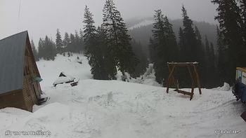 Драгобрат 7 березня 2020 року, 2020-03-07 13:00