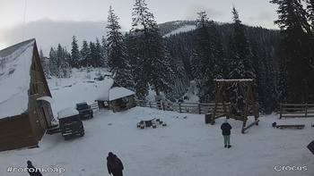 Драгобрат 11 січня 2021 року, 2021-01-11 16:00
