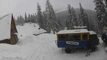Драгобрат 15 березня 2021 року, 2021-03-15 13:00
