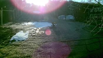 Голосієво 8 січня 2018 року, 2018-01-08 10:00