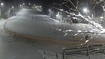 Голосієво 13 грудня 2018 року, 2018-12-13 16:00