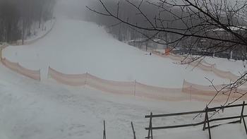 Голосієво 30 січня 2019 року, 2019-01-30 10:00