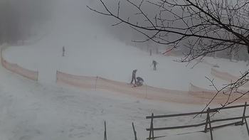 Голосієво 1 лютого 2019 року, 2019-02-01 13:00