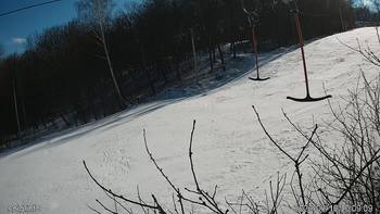 Голосієво 10 березня 2022 року, 2022-03-10 10:00
