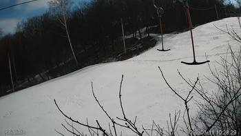 Голосієво 11 березня 2022 року, 2022-03-11 10:00