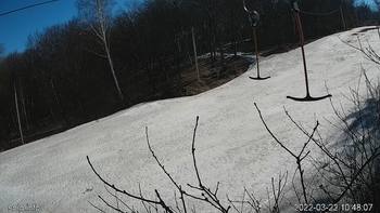 Голосієво 22 березня 2022 року, 2022-03-22 10:00