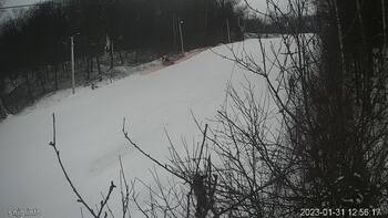 Голосієво 31 січня 2023 року, 2023-01-31 13:00