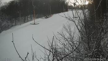 Голосієво 9 лютого 2023 року, 2023-02-09 10:00