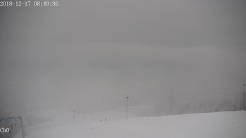 Полянскі 17 грудня 2018 року, 2018-12-17 10:00