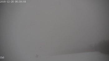 Полянскі 28 грудня 2018 року, 2018-12-28 10:00