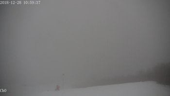 Полянскі 28 грудня 2018 року, 2018-12-28 13:00