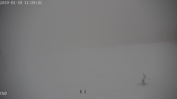 Полянскі 18 січня 2019 року, 2019-01-18 13:00