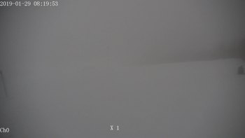 Полянскі 29 січня 2019 року, 2019-01-29 10:00