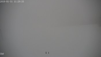Полянскі 31 січня 2019 року, 2019-01-31 13:00