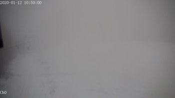 Полянскі 12 січня 2020 року, 2020-01-12 10:00