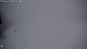 Полянскі 12 січня 2020 року, 2020-01-12 16:00