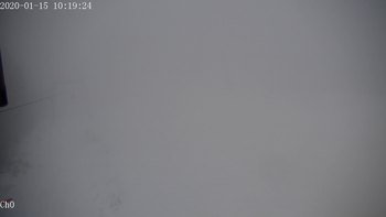 Полянскі 15 січня 2020 року, 2020-01-15 10:00