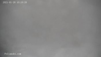Полянскі 28 січня 2021 року, 2021-01-28 10:00