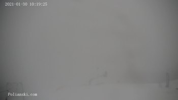 Полянскі 30 січня 2021 року, 2021-01-30 10:00