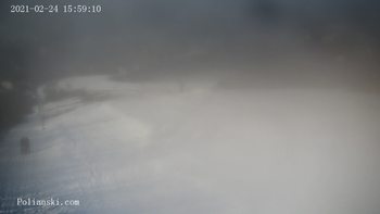 Полянскі 24 лютого 2021 року, 2021-02-24 16:00