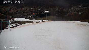 Полянскі 1 березня 2021 року, 2021-03-01 13:00