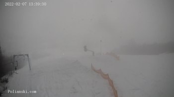 Полянскі 7 лютого 2022 року, 2022-02-07 13:00