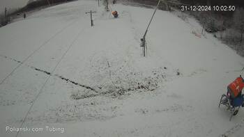 Полянскі 31 грудня 2024 року, 2024-12-31 10:00