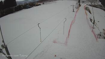 Полянскі 11 січня 2025 року, 2025-01-11 10:00