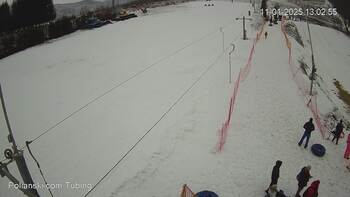 Полянскі 11 січня 2025 року, 2025-01-11 13:00