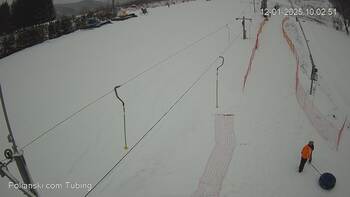 Полянскі 12 січня 2025 року, 2025-01-12 10:00