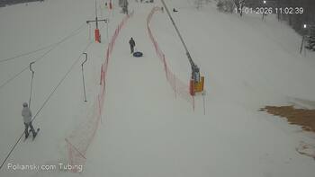 Полянскі 11 січня 2026 року, 2026-01-11 10:00