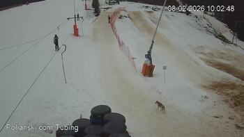 Polianski 8 luty 2026 rok, 2026-02-08 10:00