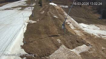 Полянскі 16 березня 2026 року, 2026-03-16 13:00