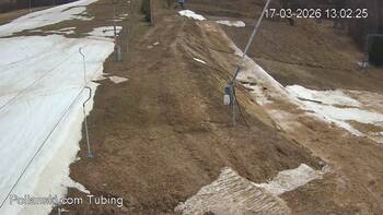 Полянскі 17 березня 2026 року, 2026-03-17 13:00