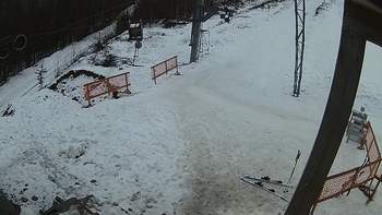 Ведмежа 8 лютого 2018 року, 2018-02-08 16:00
