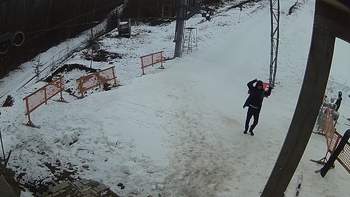 Ведмежа 12 лютого 2018 року, 2018-02-12 13:00