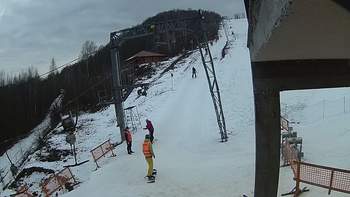 Ведмежа 13 лютого 2018 року, 2018-02-13 16:00