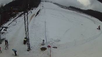 Ведмежа 21 лютого 2018 року, 2018-02-21 16:00