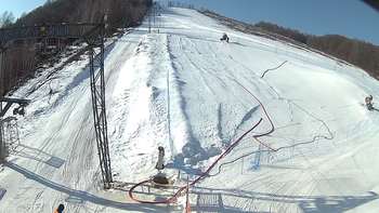 Ведмежа 1 березня 2018 року, 2018-03-01 10:00