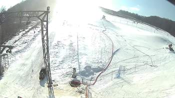 Ведмежа 1 березня 2018 року, 2018-03-01 13:00