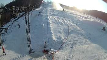 Ведмежа 1 березня 2018 року, 2018-03-01 16:00