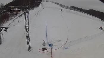 Ведмежа 3 березня 2018 року, 2018-03-03 10:00
