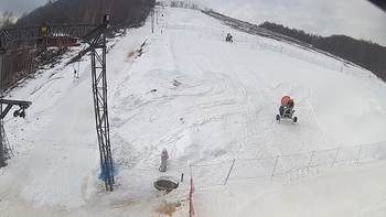 Ведмежа 6 березня 2018 року, 2018-03-06 10:00