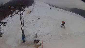 Ведмежа 6 березня 2018 року, 2018-03-06 16:00