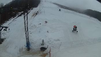 Ведмежа 7 березня 2018 року, 2018-03-07 10:00