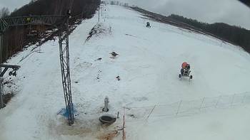 Ведмежа 8 березня 2018 року, 2018-03-08 13:00